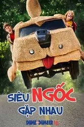 Siêu Ngốc Gặp Nhau