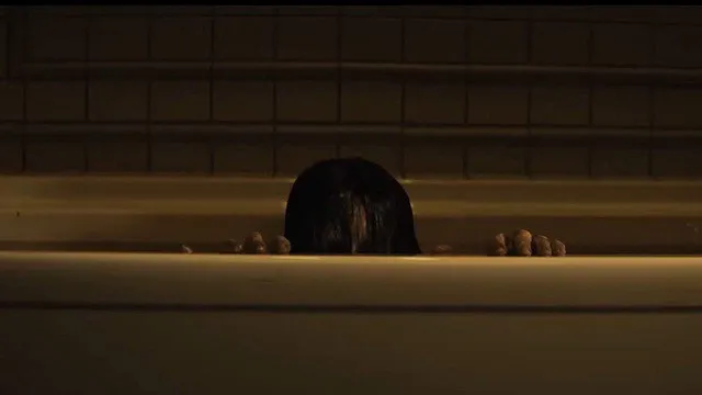 The Grudge The Grudge