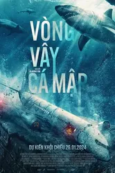 Vòng Vây Cá Mập